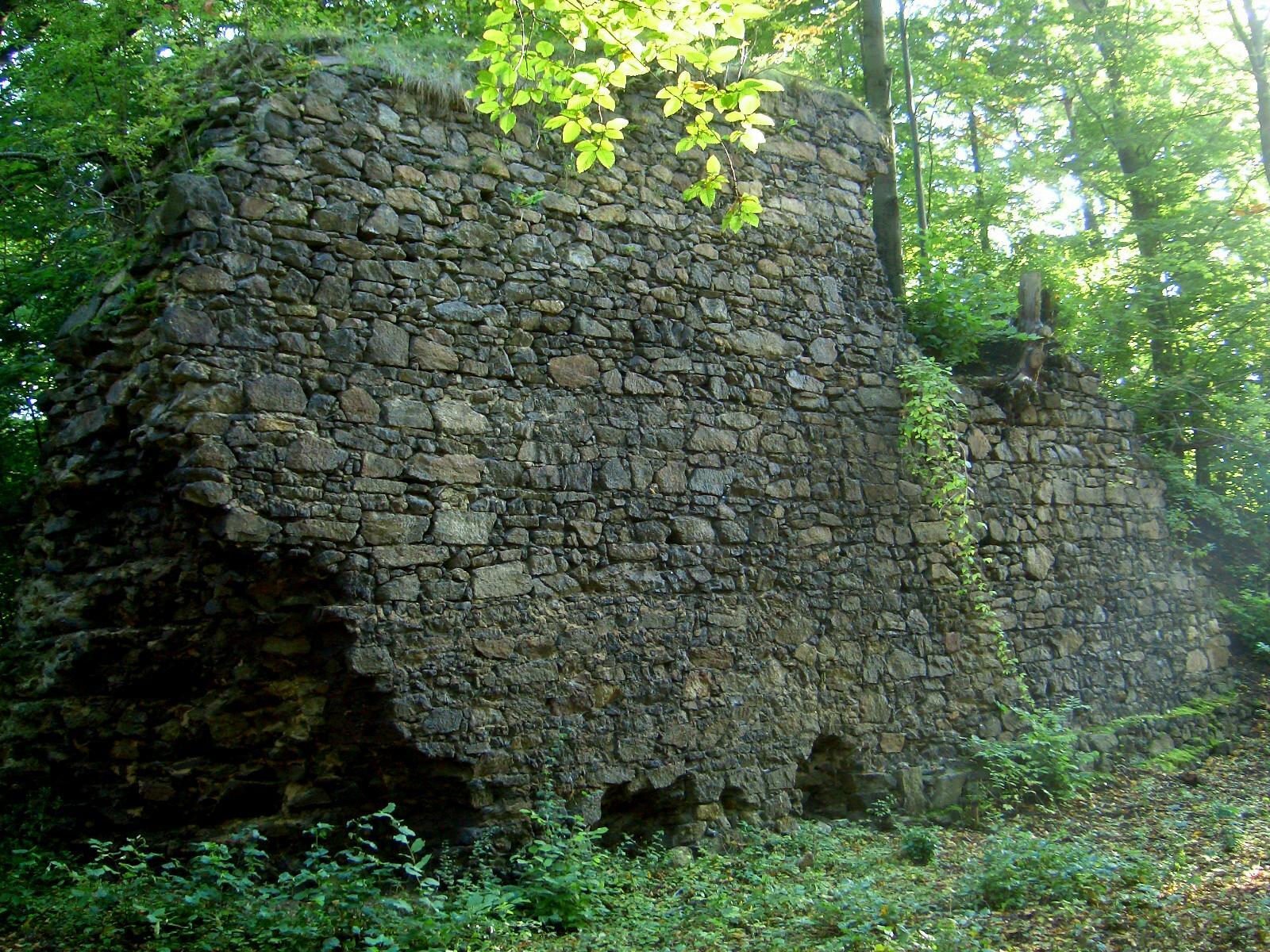 Ruiny zamku w Trzcińcu, fragment muru budynku głównego (aut. Neißehai, źródło: Wikipedia.de)